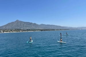 Marbella: Group Dolphin Watching Catamaran Tour with Drinks