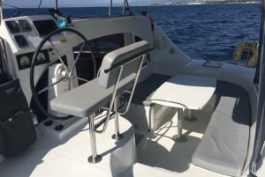 Marbella: Group Dolphin Watching Catamaran Tour with Drinks