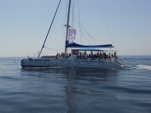 Marbella Catamaran Matkat