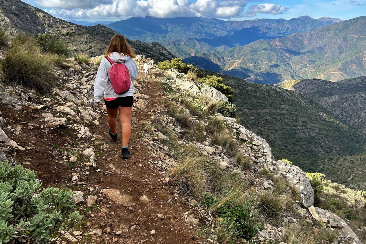 Marbella: beklim La Concha Peak - begeleide wandeltocht met transfer