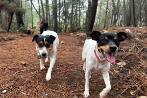 Marbella: sube al pico de La Concha - ruta de senderismo guiada con traslado