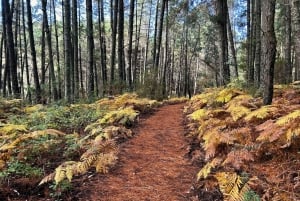 Marbella: beklim La Concha Peak - begeleide wandeltocht met transfer