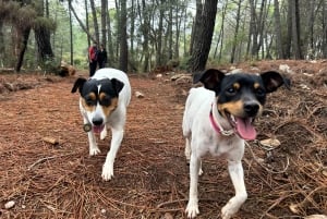 Marbella: beklim La Concha Peak - begeleide wandeltocht met transfer