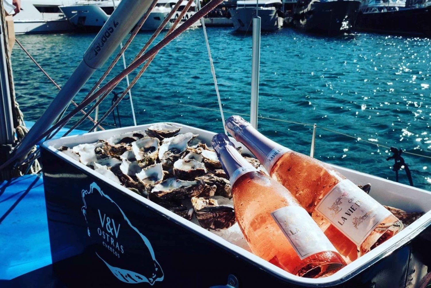 Marbella: Privat sejltur i Puerto Banús med drinks