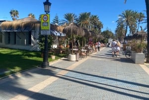 Marbella: Premium bike tour along the Golden Mile to Puerto Banus