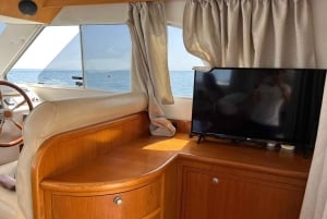 Marbella: Delfinsafari och solnedgångar på yacht