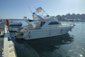 Marbella: Delfinsafari och solnedgångar på yacht