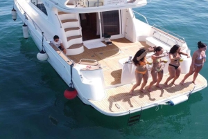 Marbella: Delfinsafari och solnedgångar på yacht