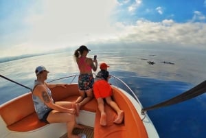 Marbella: Bootstour zur Delphinbeobachtung