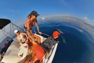 Marbella: Bootstour zur Delphinbeobachtung