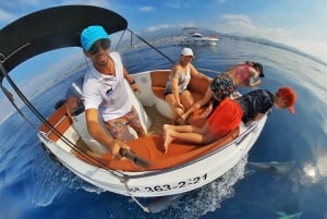 Marbella: Bootstour zur Delphinbeobachtung
