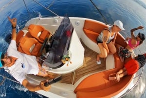 Marbella: Bootstour zur Delphinbeobachtung