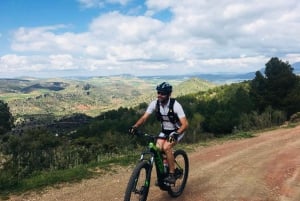 Marbella: E-Mountain Bike Tour with Wine