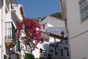 Marbella - Estepona: Jeep Eco Tour - Authentic Andalusia