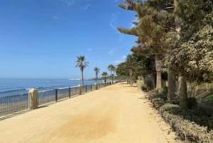 Marbella: PRIVATE Premium E - BIKE bike tour to Puerto Banus incl. cafe