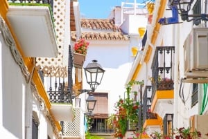 Marbella: Express Walk with a Local in 60 minutes