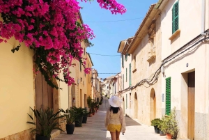 Marbella: Express wandeling met een local in 60 minuten