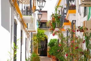 Marbella: Express wandeling met een local in 60 minuten