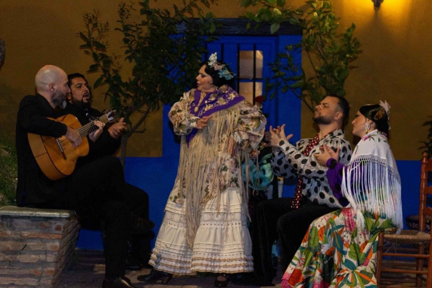 Marbella: Flamenco Show with a Drink