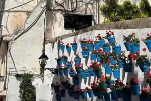 Marbella: Food and History Tour