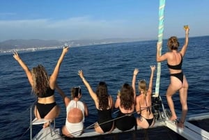 Marbella: Group Dolphin Watching Catamaran Tour with Drinks