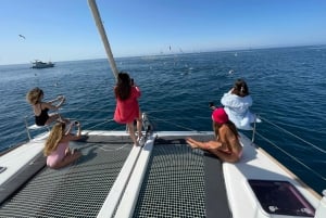 Marbella: Group Dolphin Watching Catamaran Tour with Drinks