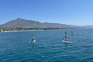 Marbella: Group Dolphin Watching Catamaran Tour with Drinks