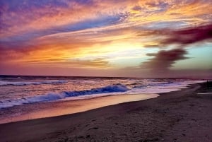 Marbella: Wycieczka rowerowa z przewodnikiem z degustacją tapas i napojami