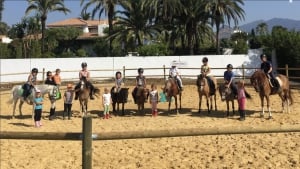 Marbella Horses