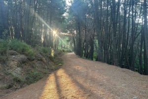 Marbella: 'La Concha' mountain tour including snack and drink