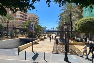 Rundvisning i Marbellas gamle bydel og sejltur til Puerto Banús