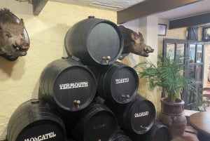 Rundvisning i Marbellas gamle bydel og sejltur til Puerto Banús