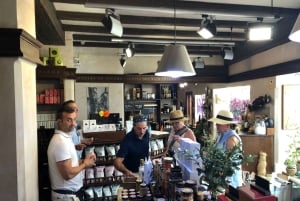 Passeio pela Cidade Velha de Marbella e Experiência de Degustação Premium