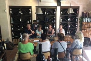 Passeio pela Cidade Velha de Marbella e Experiência de Degustação Premium