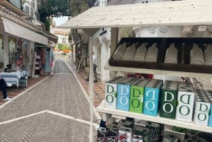 Passeio pela Cidade Velha de Marbella e Experiência de Degustação Premium
