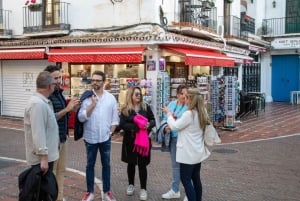Passeio pela Cidade Velha de Marbella e Experiência de Degustação Premium