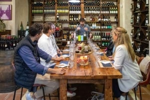 Passeio pela Cidade Velha de Marbella e Experiência de Degustação Premium