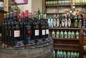 Passeio pela Cidade Velha de Marbella e Experiência de Degustação Premium