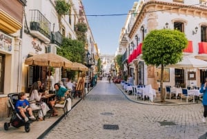 Marbellas gamle bydel: Gruppetur med en ægte lokal