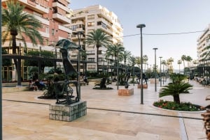 Marbella Old Town: Group Tour with a True Local