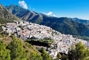 Marbella : Paella tasting in las Sierra de la Nieves