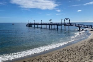 Marbella: Wycieczka rowerowa premium wzdłuż Golden Mile do Puerto Banus