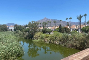 Marbella: Privat cykeltur Marbella - Puerto Banus inkl. tapas-smagning