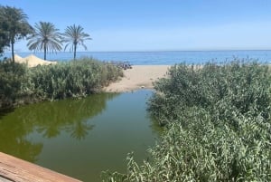 Marbella: Privat cykeltur Marbella - Puerto Banus inkl. tapas-smagning