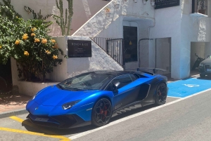 Marbella: Privat cykeltur Marbella - Puerto Banus inkl. tapas-smagning