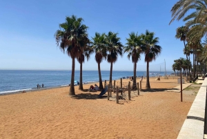 Marbella: Privat cykeltur Marbella - Puerto Banus inkl. tapas-smagning