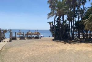 Marbella: Privat cykeltur Marbella - Puerto Banus inkl. tapas-smagning