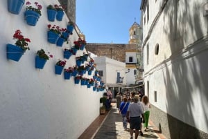 Marbella: PRIVATE bike tour Marbella - Puerto Banus with tapas tasting