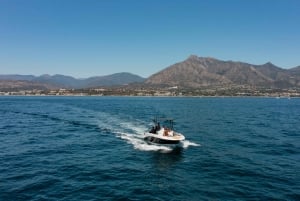 Marbella: Private Boat Rental w/o Skipper. From 1-8hrs.