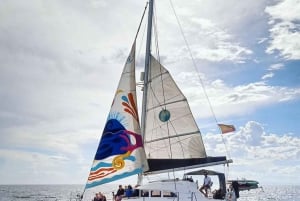 Marbella: Private Cruise in Catamaran